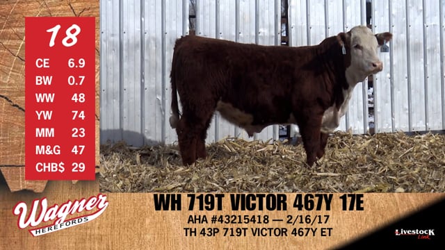 Lot #18 - WH 719T VICTOR 467Y 17E