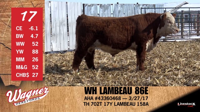 Lot #17 - WH LAMBEAU 86E