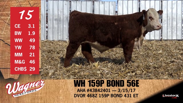 Lot #15 - WH 159P BOND 56E