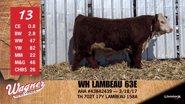 Lot #13 - WH LAMBEAU 63E
