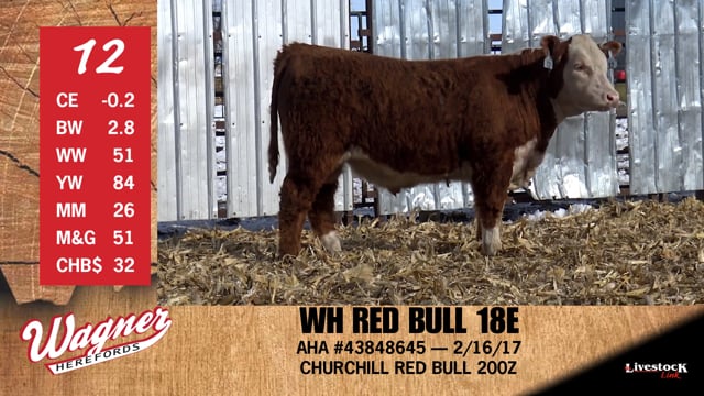 Lot #12 - WH RED BULL 18E