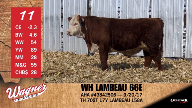 Lot #11 - WH LAMBEAU 66E