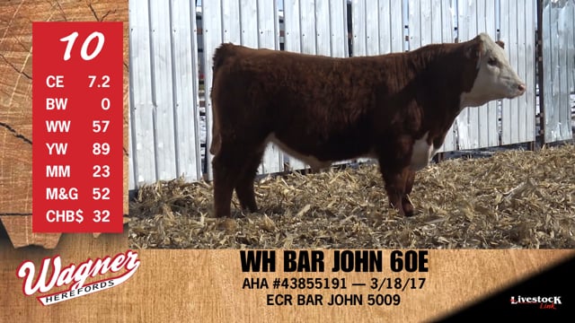Lot #10 - WH BAR JOHN 60E