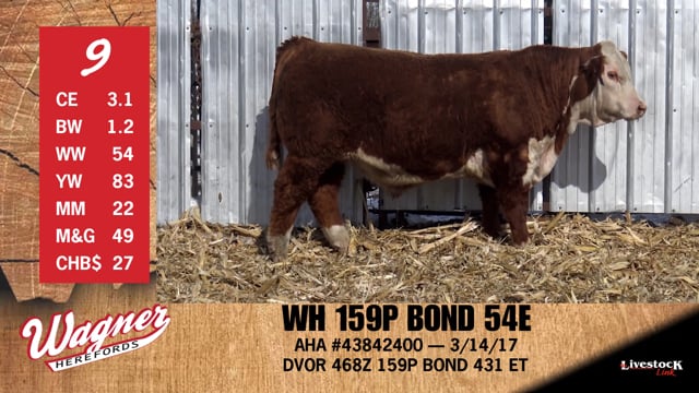 Lot #9 - WH 159P BOND 54E