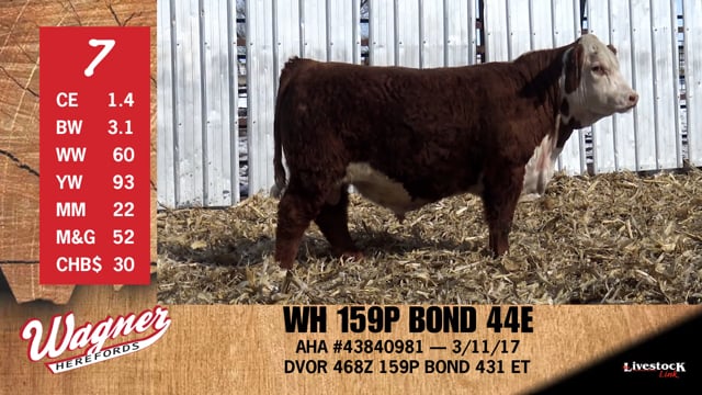 Lot #7 - WH 159P BOND 44E
