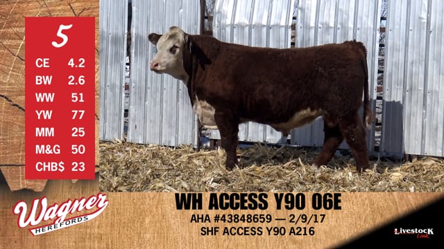 Lot #5 - WH ACCESS Y90 06E