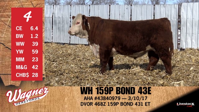 Lot #4 - WH 159P BOND 43E