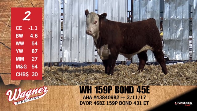 Lot #2 - WH 159P BOND 45E