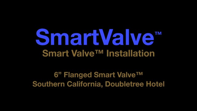 The Smart Valve
