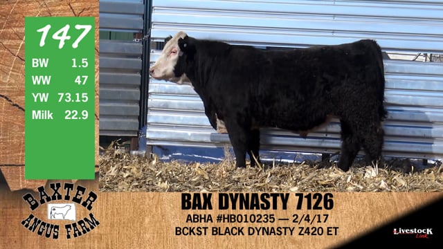 Lot #147 - BAX DYNASTY 7126