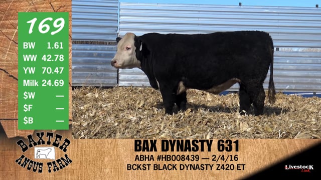 Lot #169 - BAX DYNASTY 631