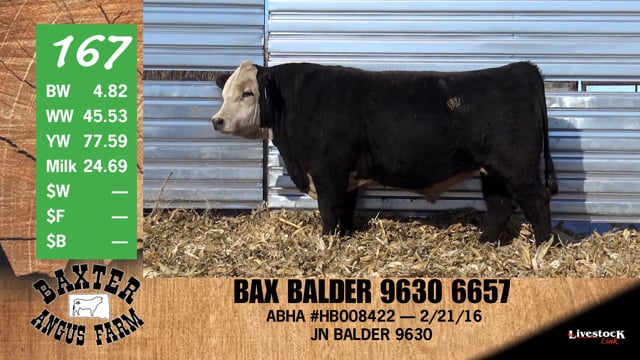 Lot #167 - BAX BALDER 9630 6657