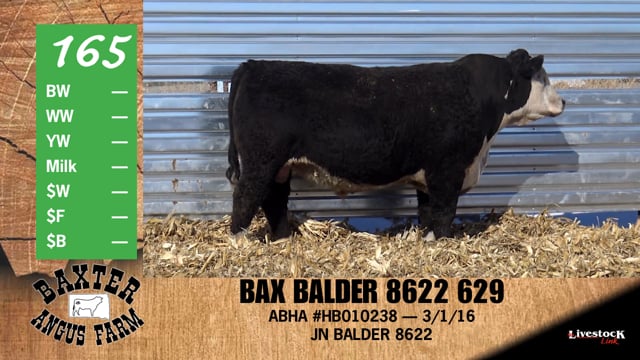 Lot #165 - BAX BALDER 8622 629