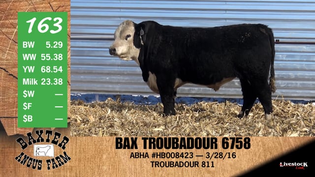 Lot #163 - BAX TROUBADOUR 6758