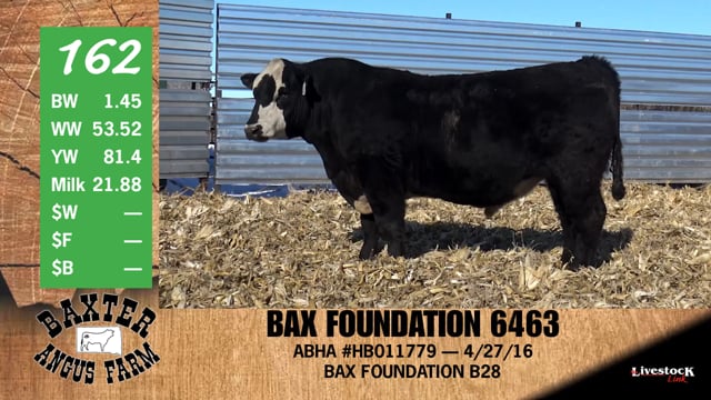 Lot #162 - BAX FOUNDATION 6463