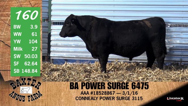 Lot #160 - BA POWER SURGE 6475
