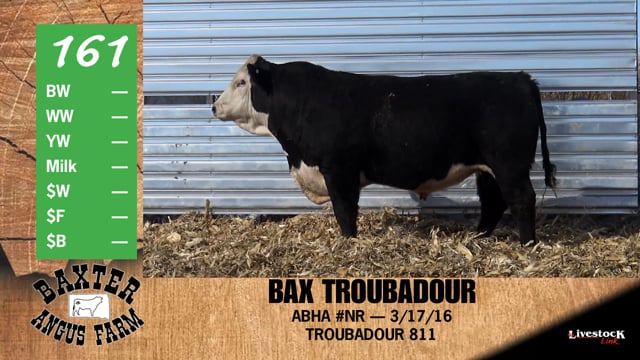 Lot #161 - BAX TROUBADOUR