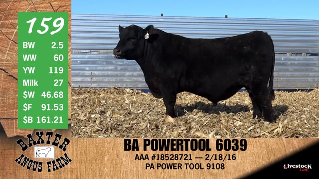 Lot #159 - BA POWERTOOL 6039