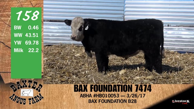 Lot #158 - BAX FOUNDATION 7474