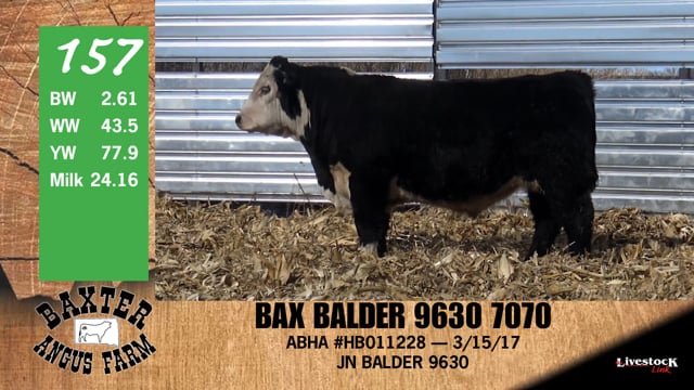Lot #157 - BAX BALDER 9630 7070