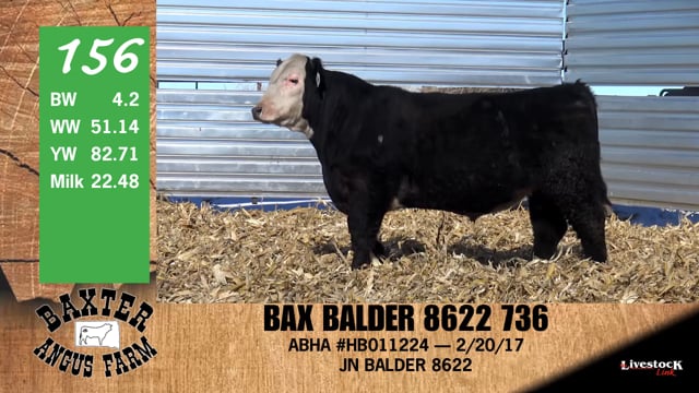 Lot #156 - BAX BALDER 8622 736