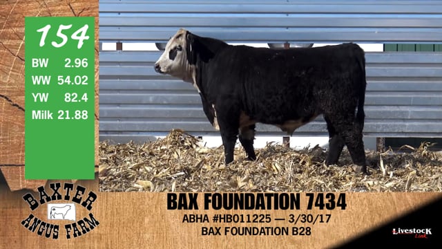 Lot #154 - BAX FOUNDATION 7434