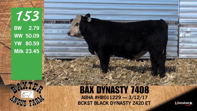 Lot #153 - BAX DYNASTY 7408