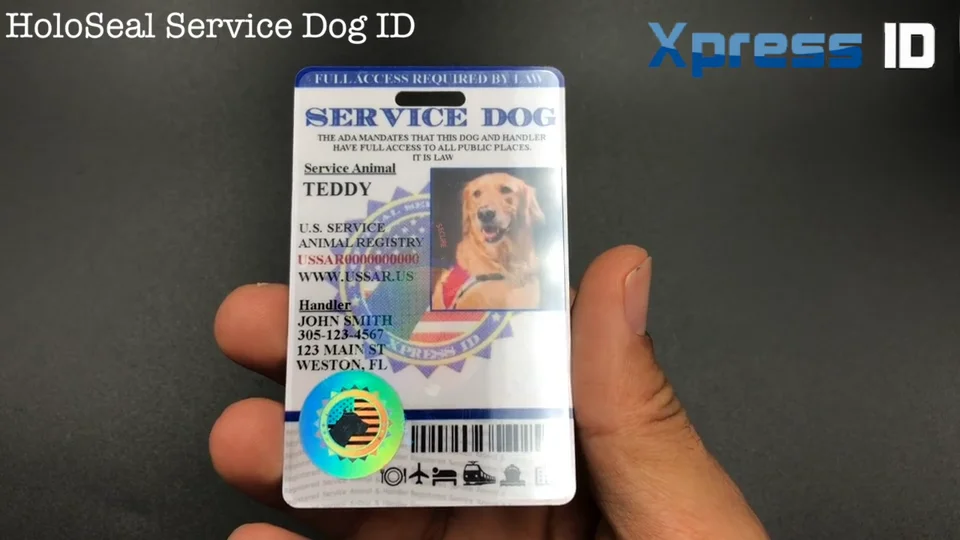 holographic service dog id card Amazon.com: XpressID Custom Holographic Service Dog ID Card with Photo &  Handler Info - Registration to U.S Service Dogs Registry