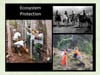 2018_7 Sierra McDaniel "Dry Forest at Hawaiʻi Volcanoes National Park: Past, Present and Future "