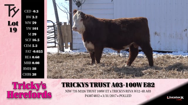 Lot #19 - 