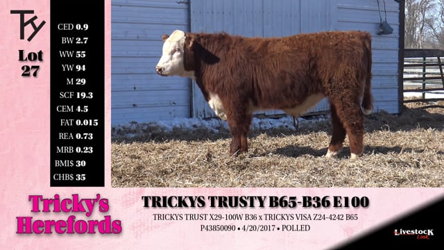 Lot #27 - 