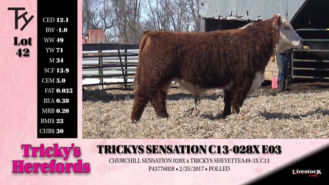 Lot #42 - 