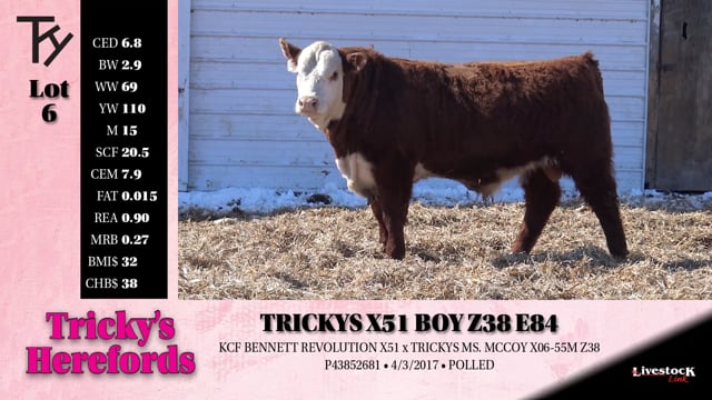 Lot #6 - 