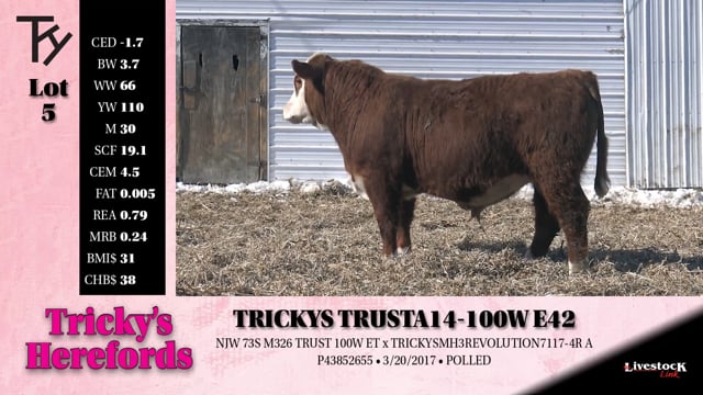 Lot #5 - 
