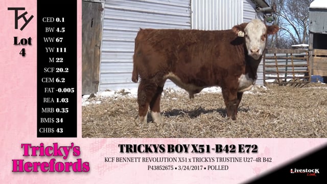 Lot #4 - 
