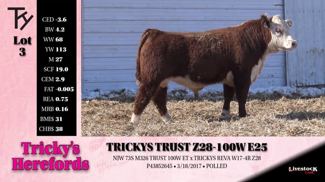 Lot #3 - 