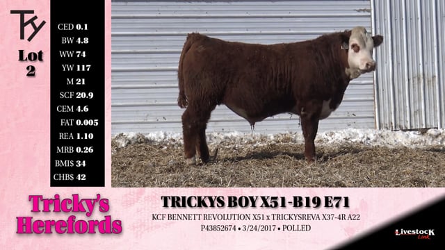 Lot #2 - 
