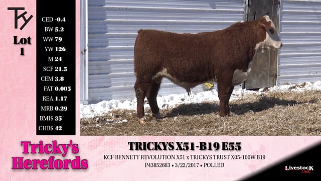 Lot #1 - 