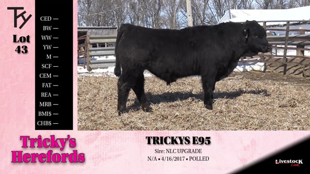 Lot #43 - 