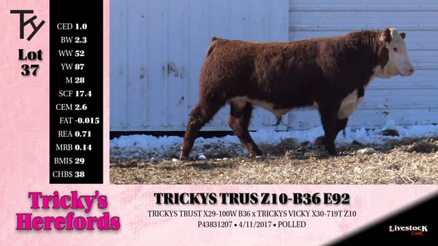 Lot #37 - 