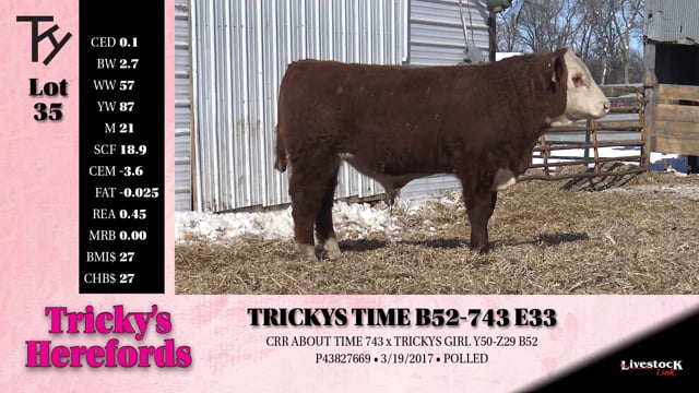 Lot #35 - 