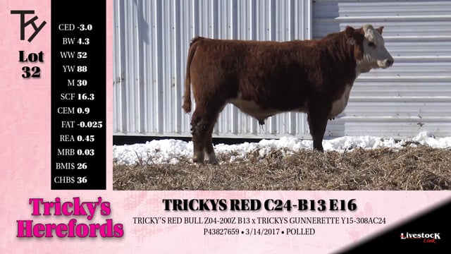 Lot #32 - 