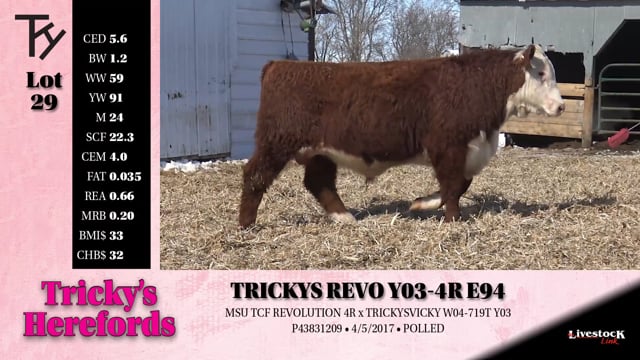 Lot #29 - 