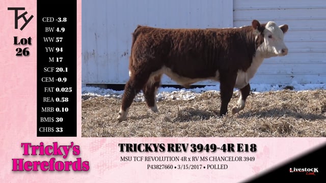 Lot #26 - 