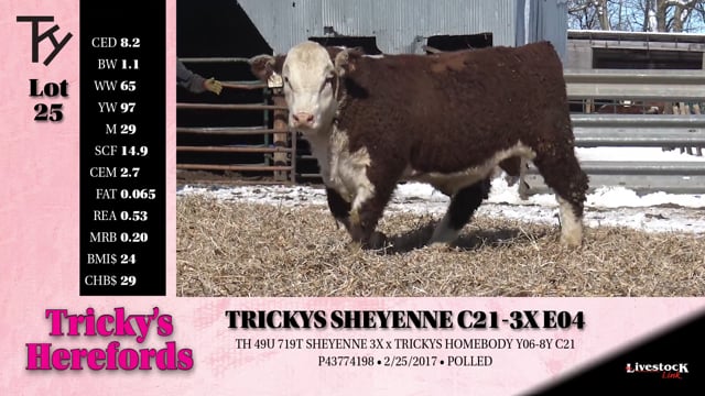 Lot #25 - 