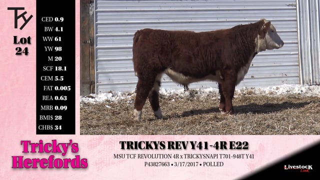 Lot #24 - 