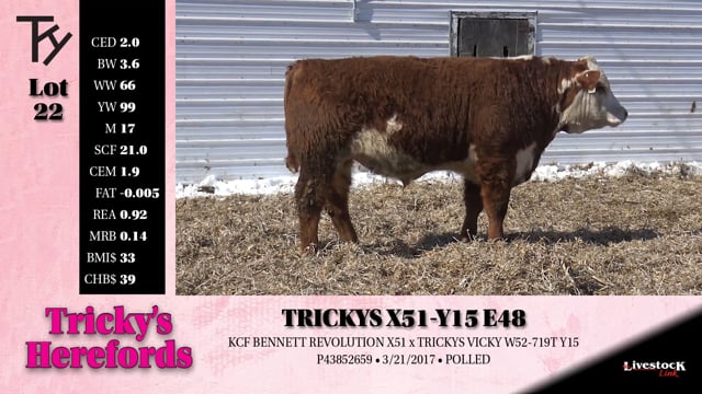 Lot #22 - 
