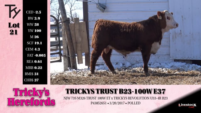 Lot #21 - 
