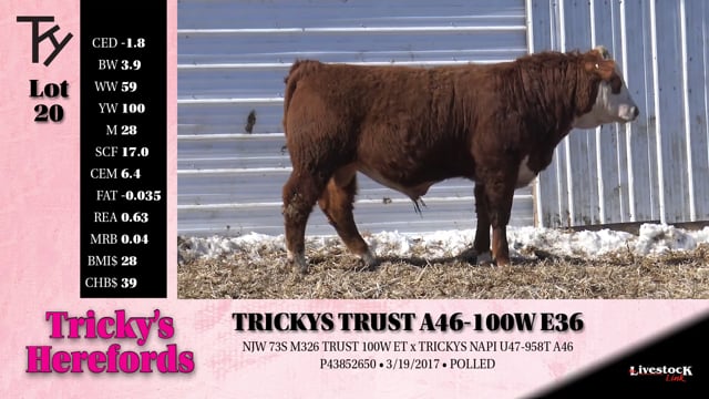 Lot #20 - 