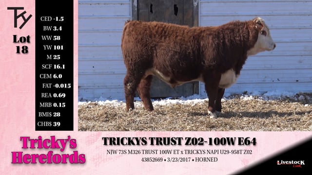 Lot #18 - 